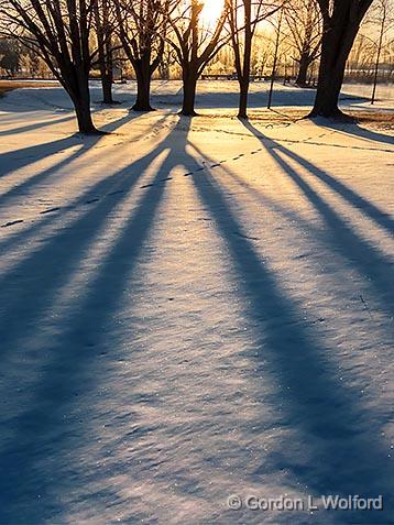Sunrise Shadows_02011.jpg - Photographed along the Rideau Canal Waterway near Smiths Falls, Ontario, Canada.